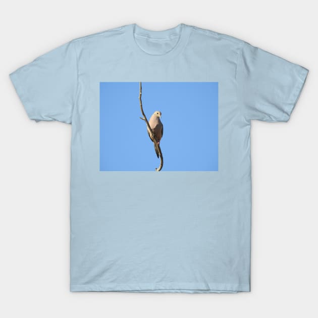 Mourning Dove, birds, wildlife, nature, gifts T-Shirt by sandyo2ly